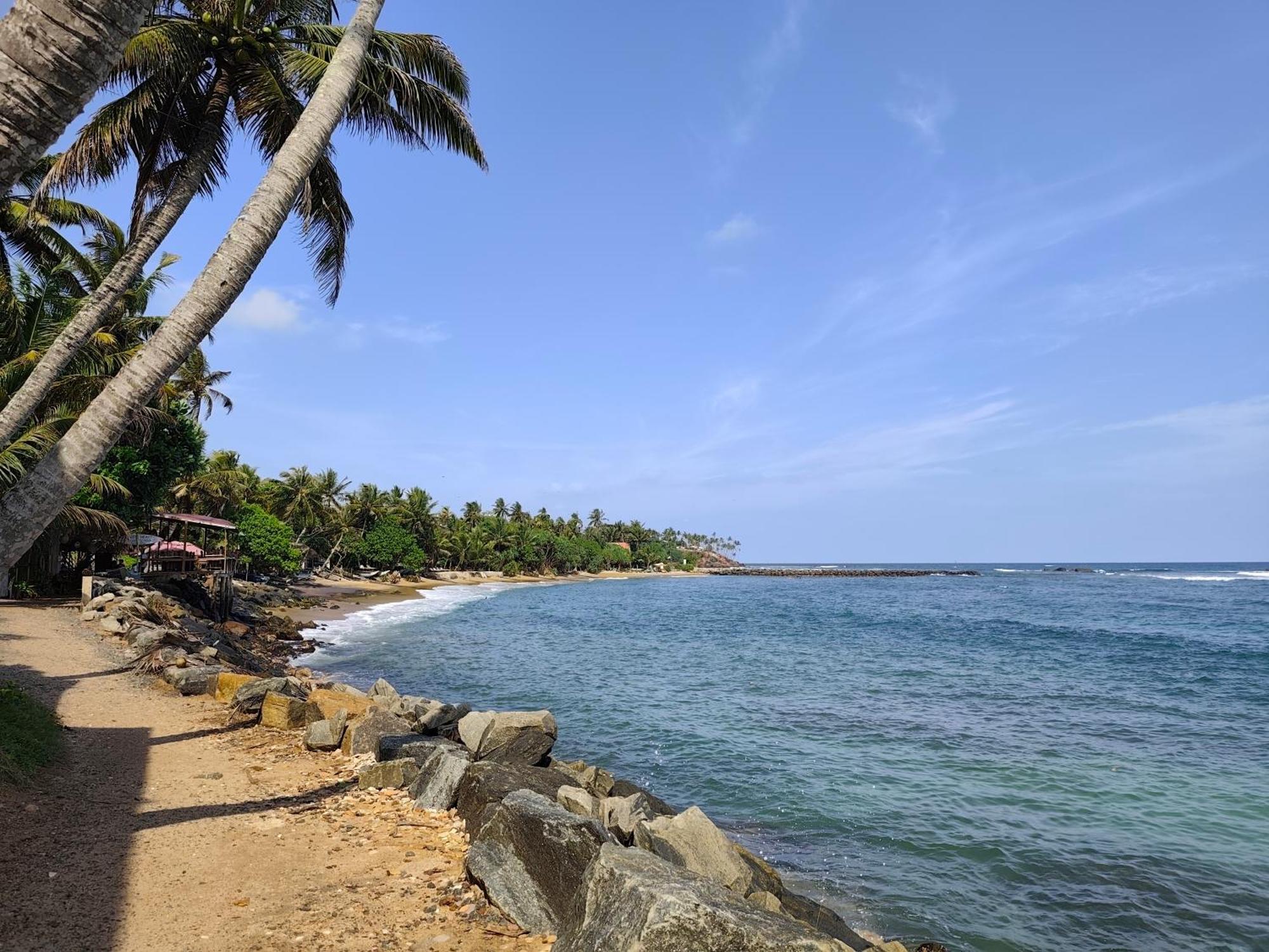 Palm Villa Mirissa Hotel&Spa المظهر الخارجي الصورة