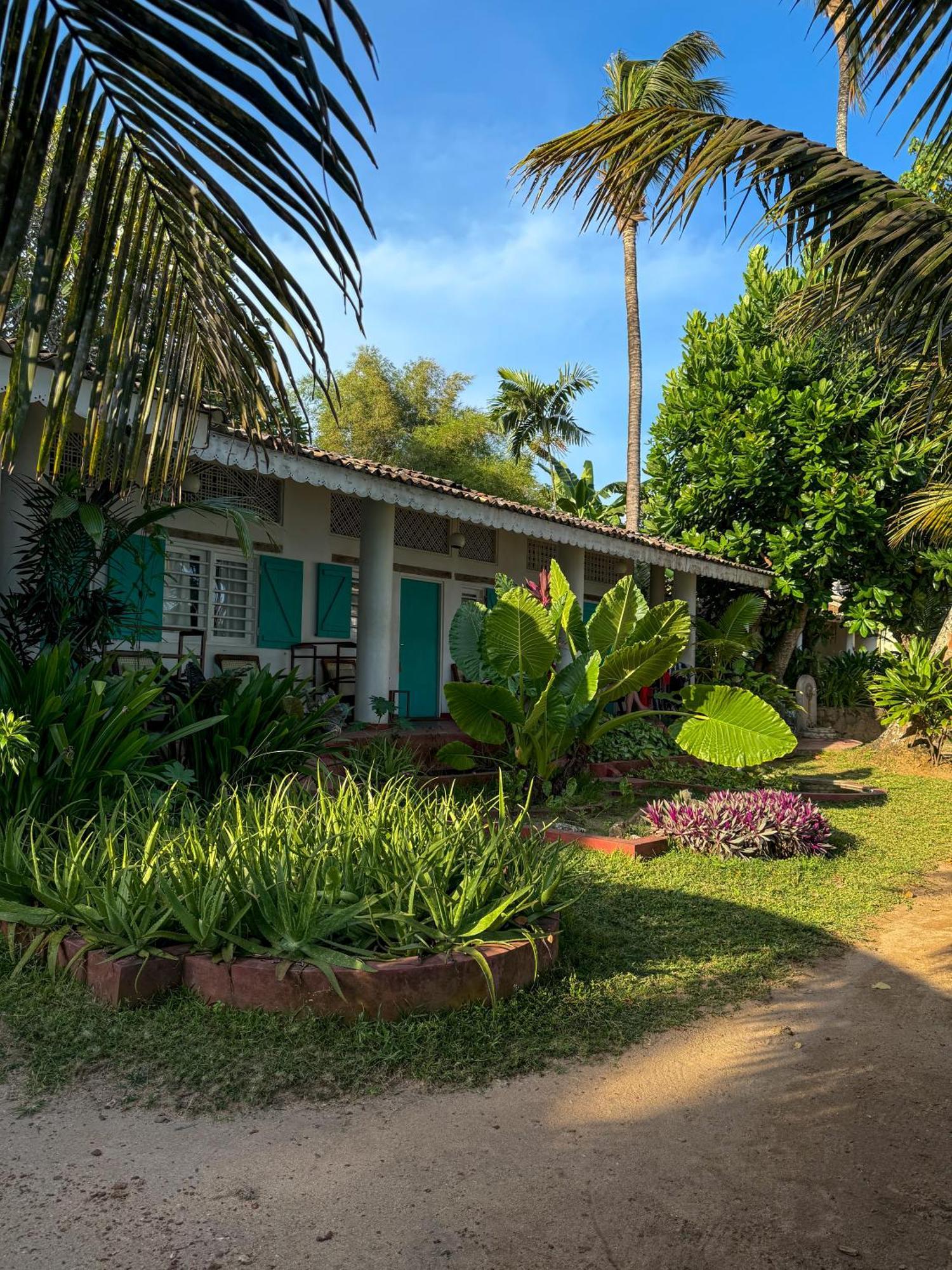 Palm Villa Mirissa Hotel&Spa المظهر الخارجي الصورة