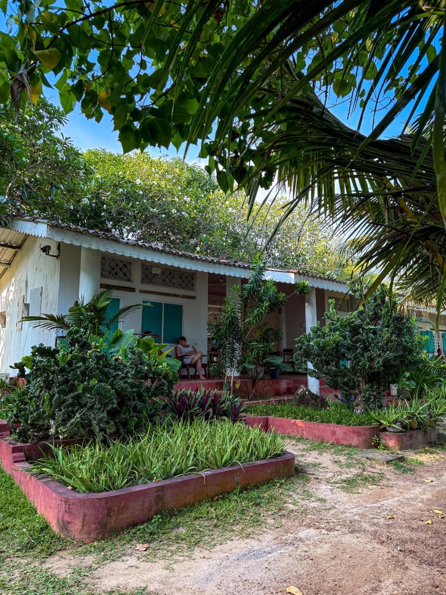 Palm Villa Mirissa Hotel&Spa المظهر الخارجي الصورة